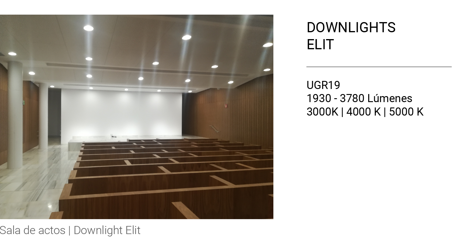 Downlight ELIT